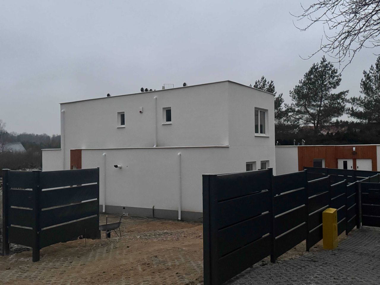 bliźniak Otomin. Zdjęcie 4