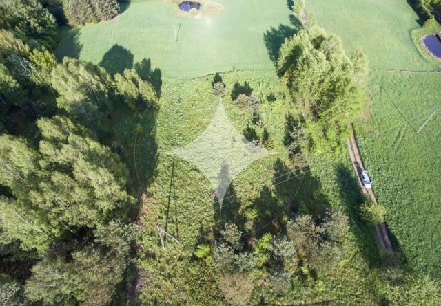 Działka rolna Łapka. Zdjęcie 4