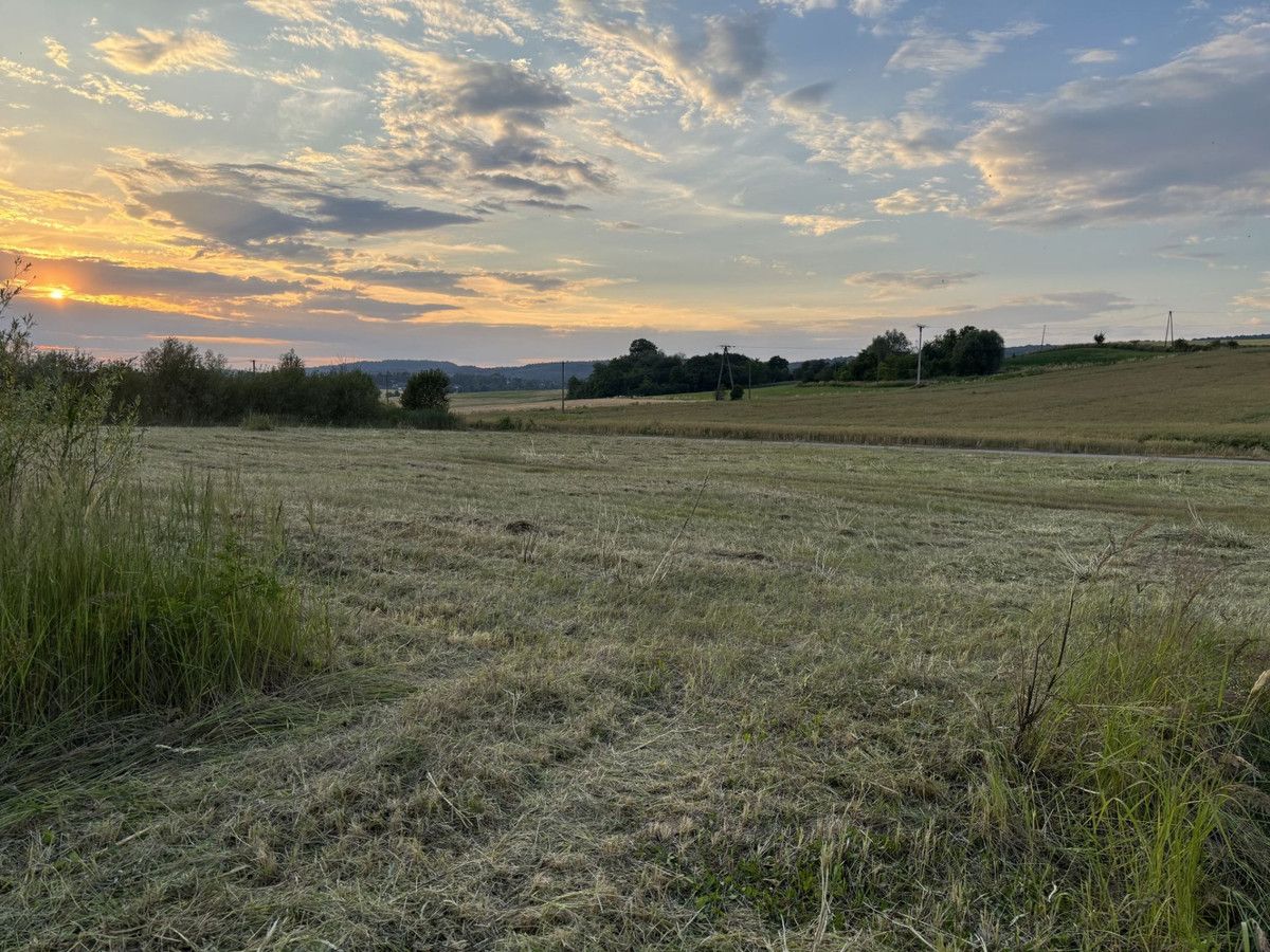 Działka inwestycyjna Pisary, ul. Rędziny. Zdjęcie 6