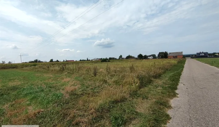 Działka rolna Kuny