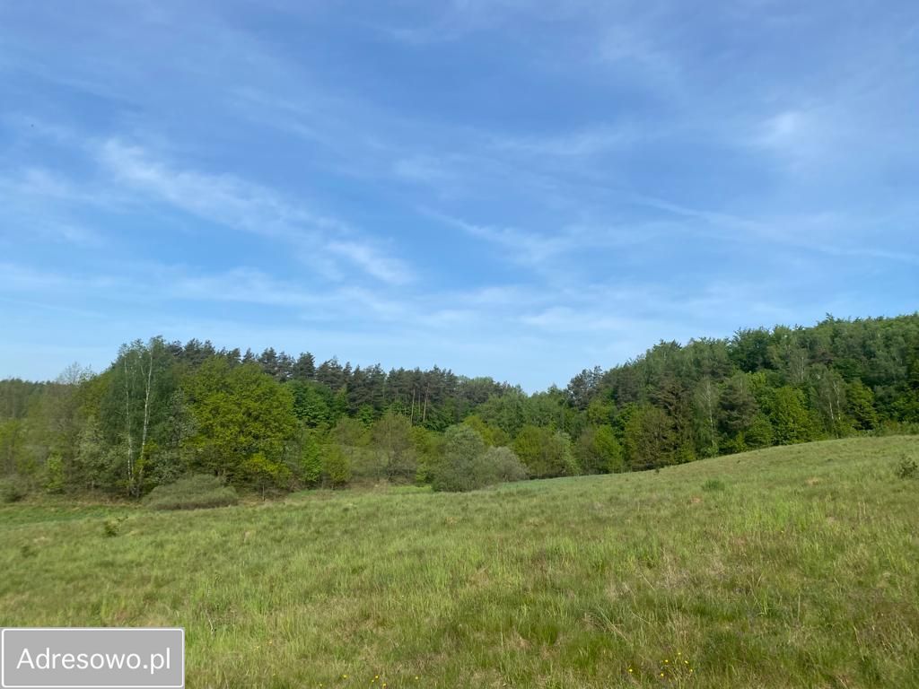 Działka budowlana Częstocin. Zdjęcie 15