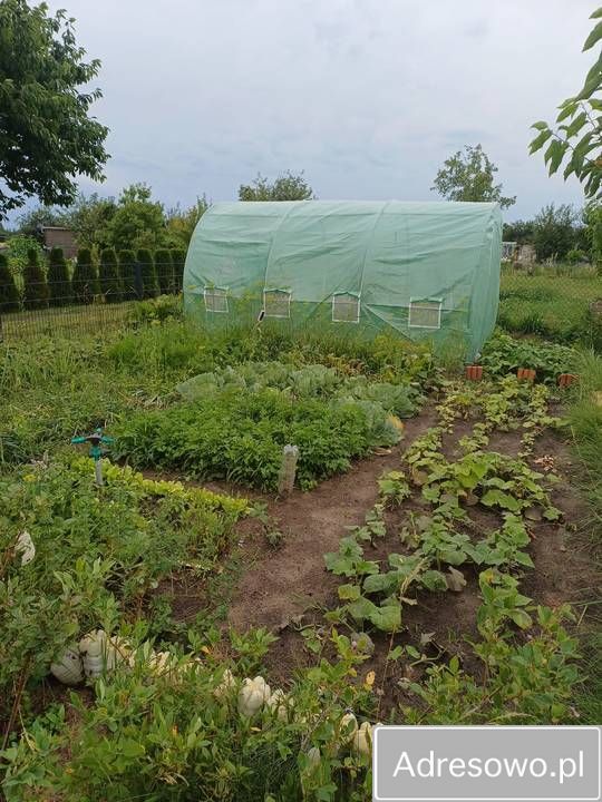 Działka rod Witnica, ul. Osiedle Południowe. Zdjęcie 8