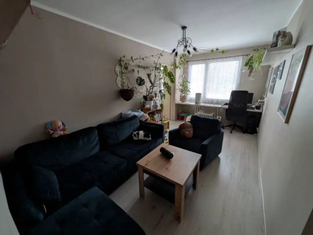 Mieszkanie 3-pokojowe Bielsko-Biała Kamienica, al. Armii Krajowej. Zdjęcie 1