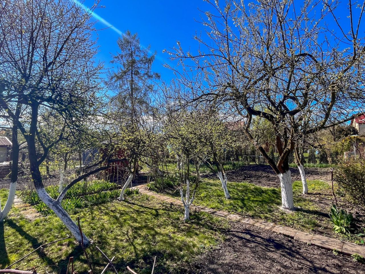 Działka rod Racibórz Centrum, ul. Warszawska. Zdjęcie 4