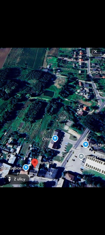 dom wolnostojący, 4 pokoje Gębice, ul. Rynek. Zdjęcie 3