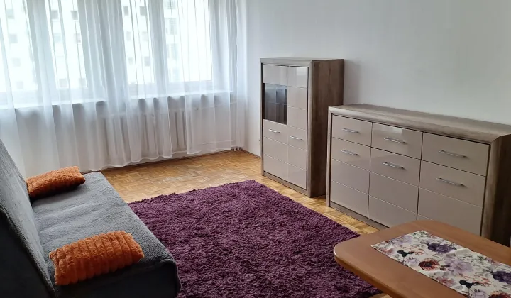 Mieszkanie 1-pokojowe Warszawa Śródmieście, ul. Józefa Bellottiego