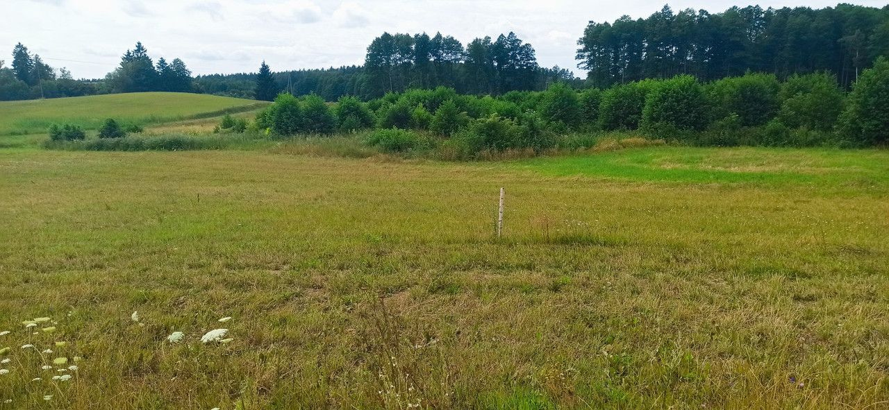 Działka rolna Orzechowo