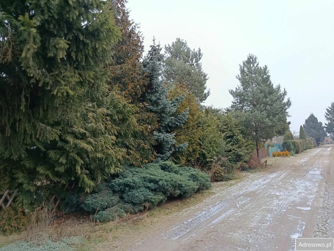 Działka rod Koninko. Zdjęcie 6