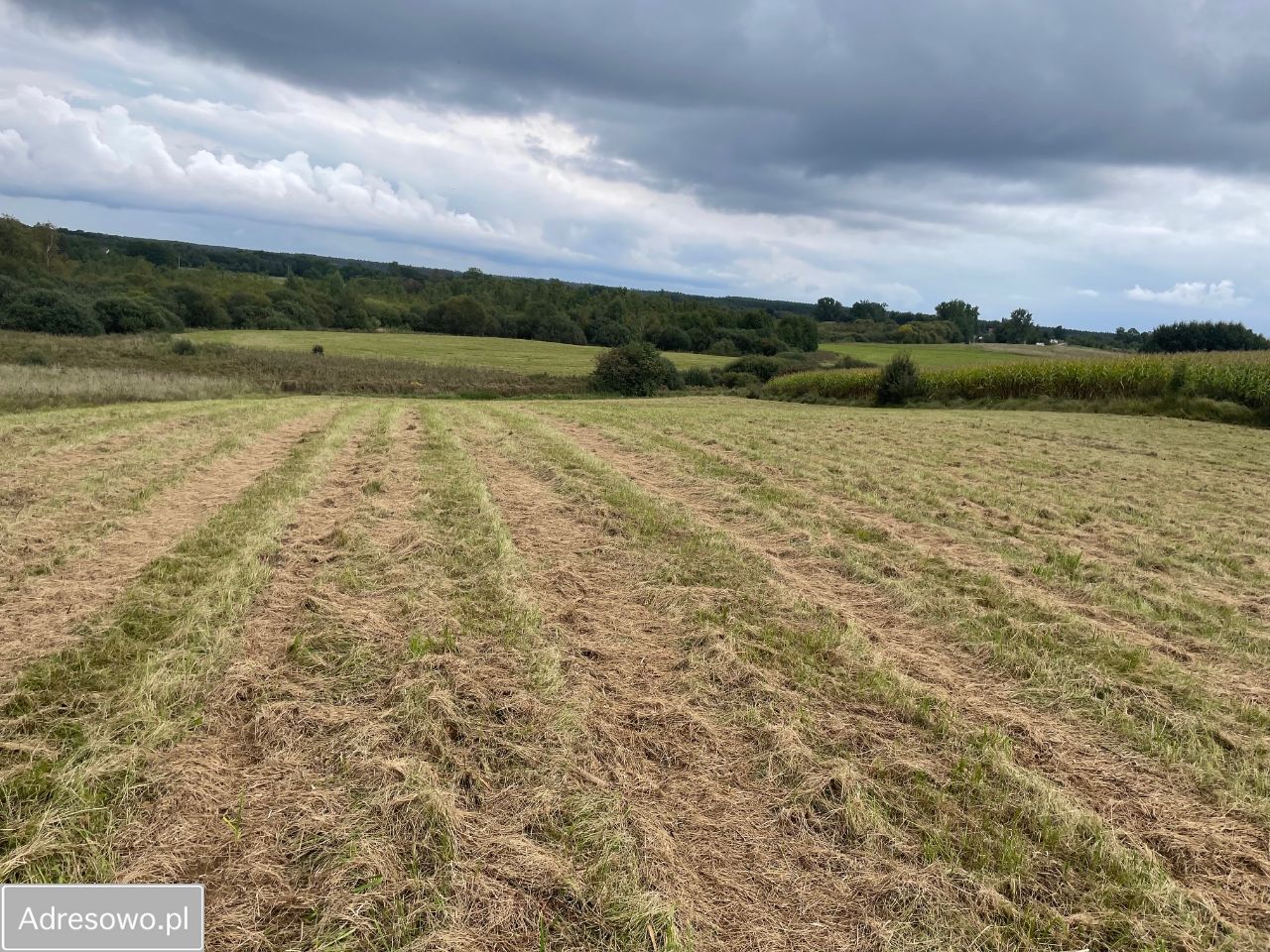 Działka rolno-budowlana Jęcznik. Zdjęcie 6