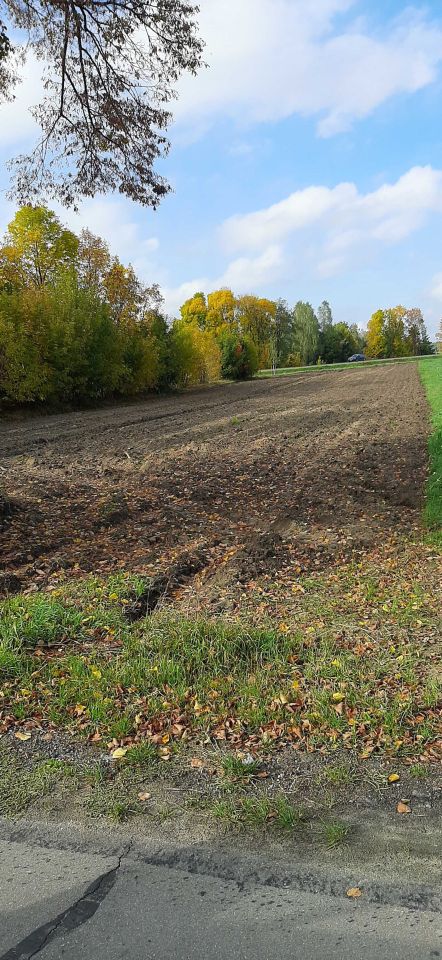 Działka rolno-budowlana Klementynów. Zdjęcie 1