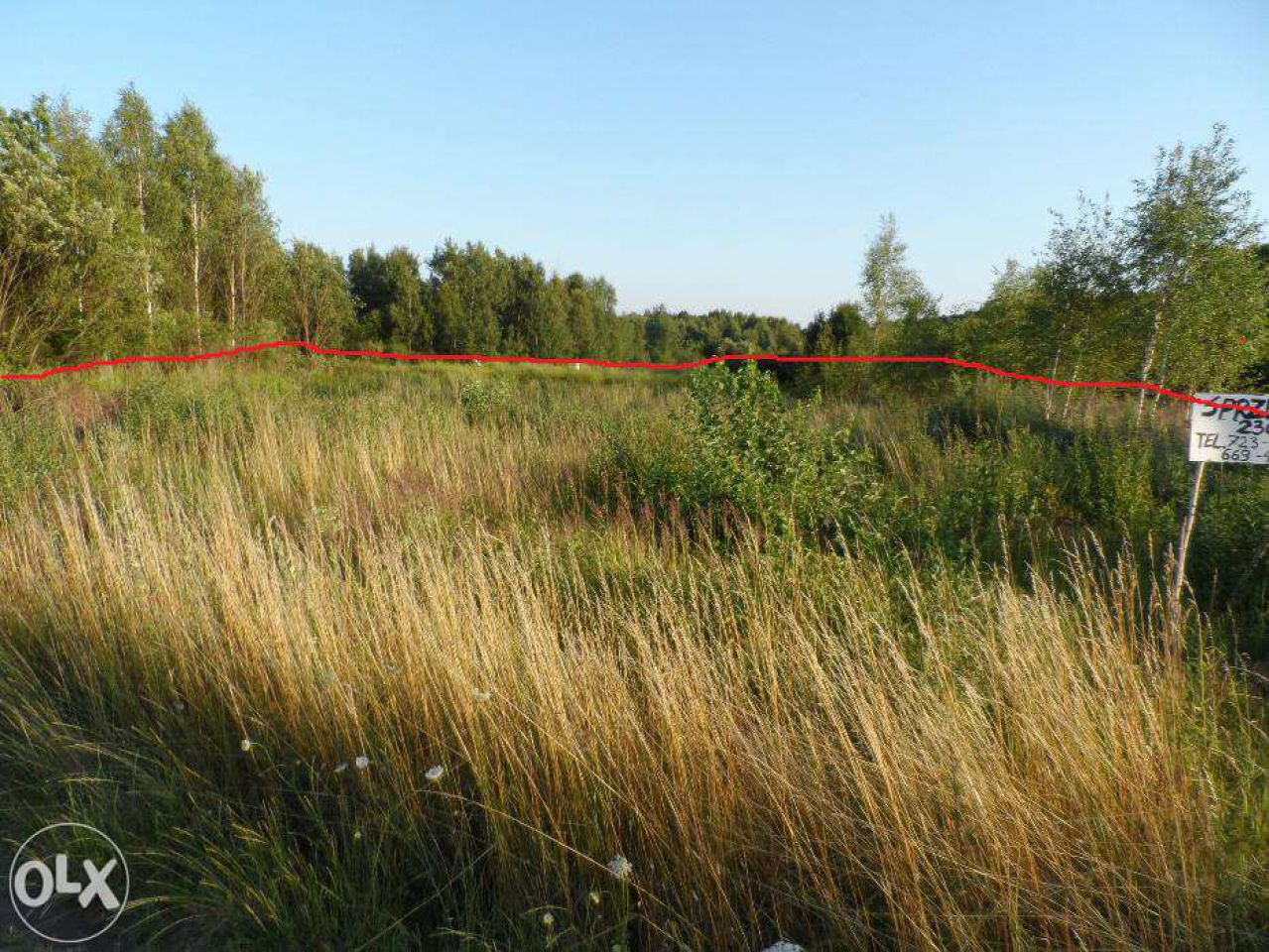 Działka budowlana Masłów Pierwszy, ul. Zielona