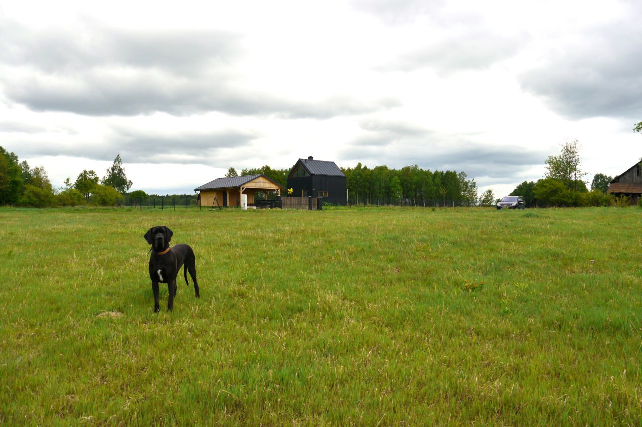 Działka budowlana Stara Huta. Zdjęcie 14