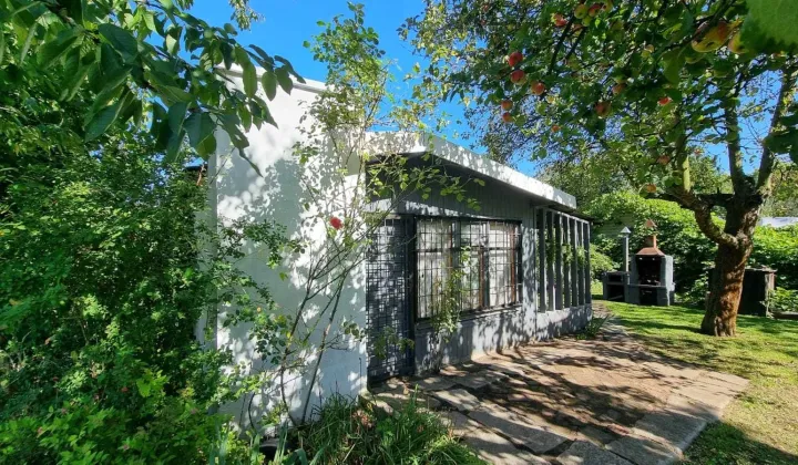 Działka rod Gliwice Śródmieście