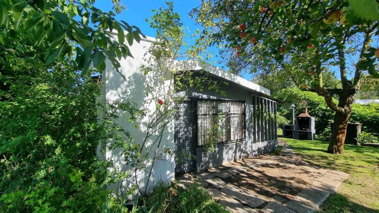 Działka rod Gliwice Śródmieście