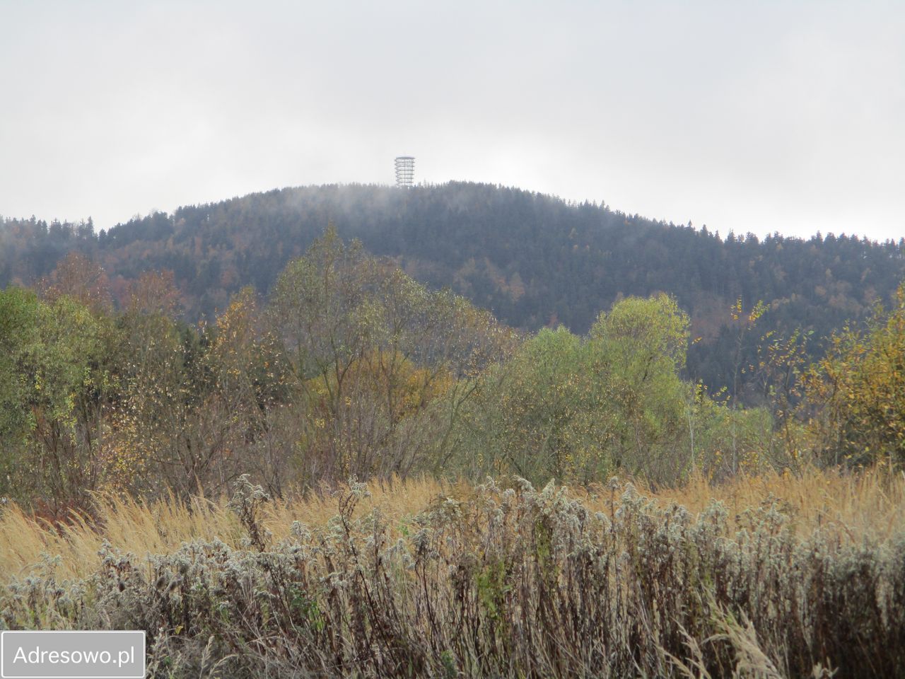 Mieszkanie 2-pokojowe Boguszów-Gorce Kuźnice Świdnickie, ul. Wincentego Pola. Zdjęcie 3
