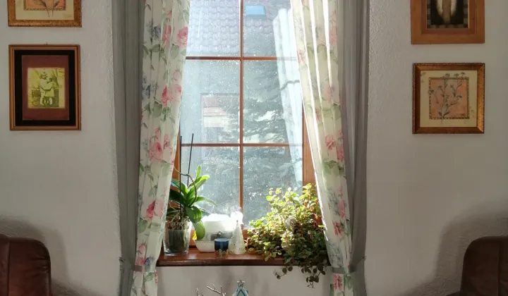 dom, 5 pokoi Gryfów Śląski, ul. Felczerska