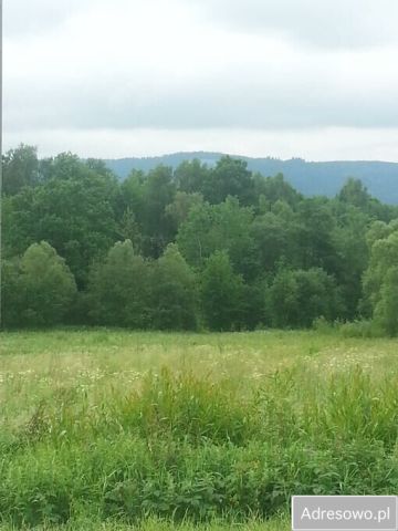 Działka budowlana Gilowice. Zdjęcie 1