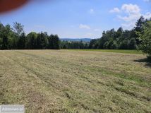 Działka budowlana Podolany. Zdjęcie 1