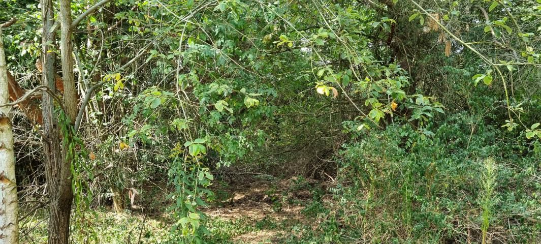 Działka budowlana Strzeniówka. Zdjęcie 6