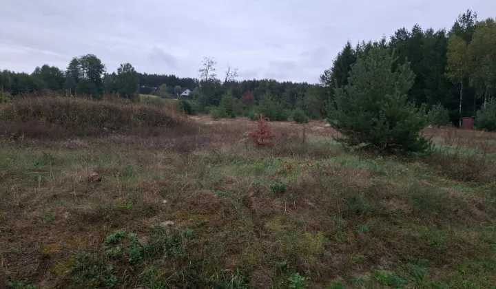 Działka rekreacyjna Smyków