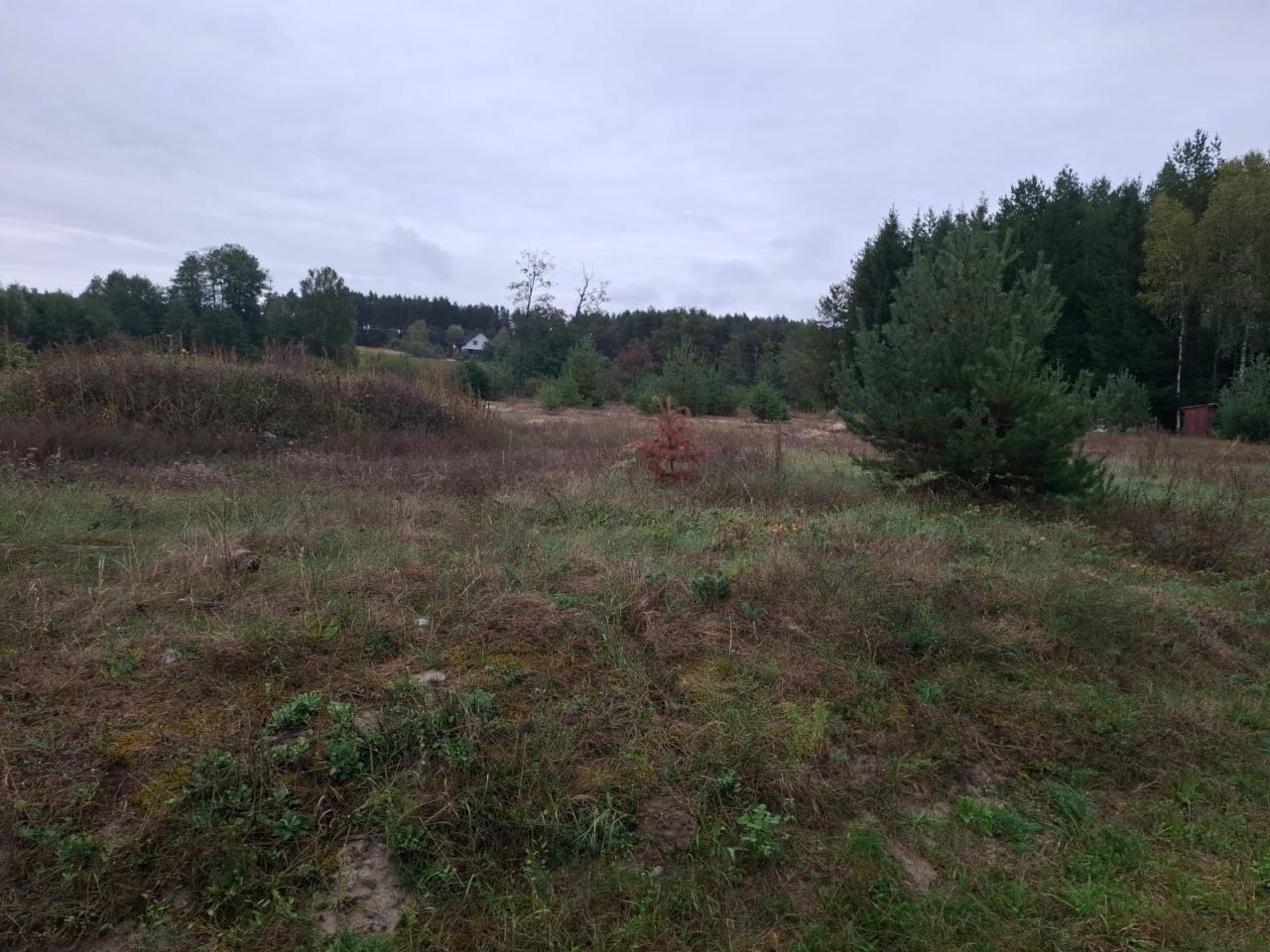 Działka rekreacyjna Smyków