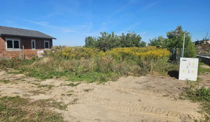 Działka budowlana Sieroszewice, ul. Danuty Siedzikówny