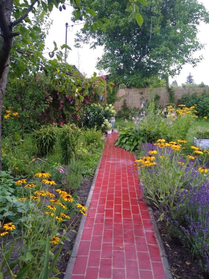 Działka rod Siedlce. Zdjęcie 8