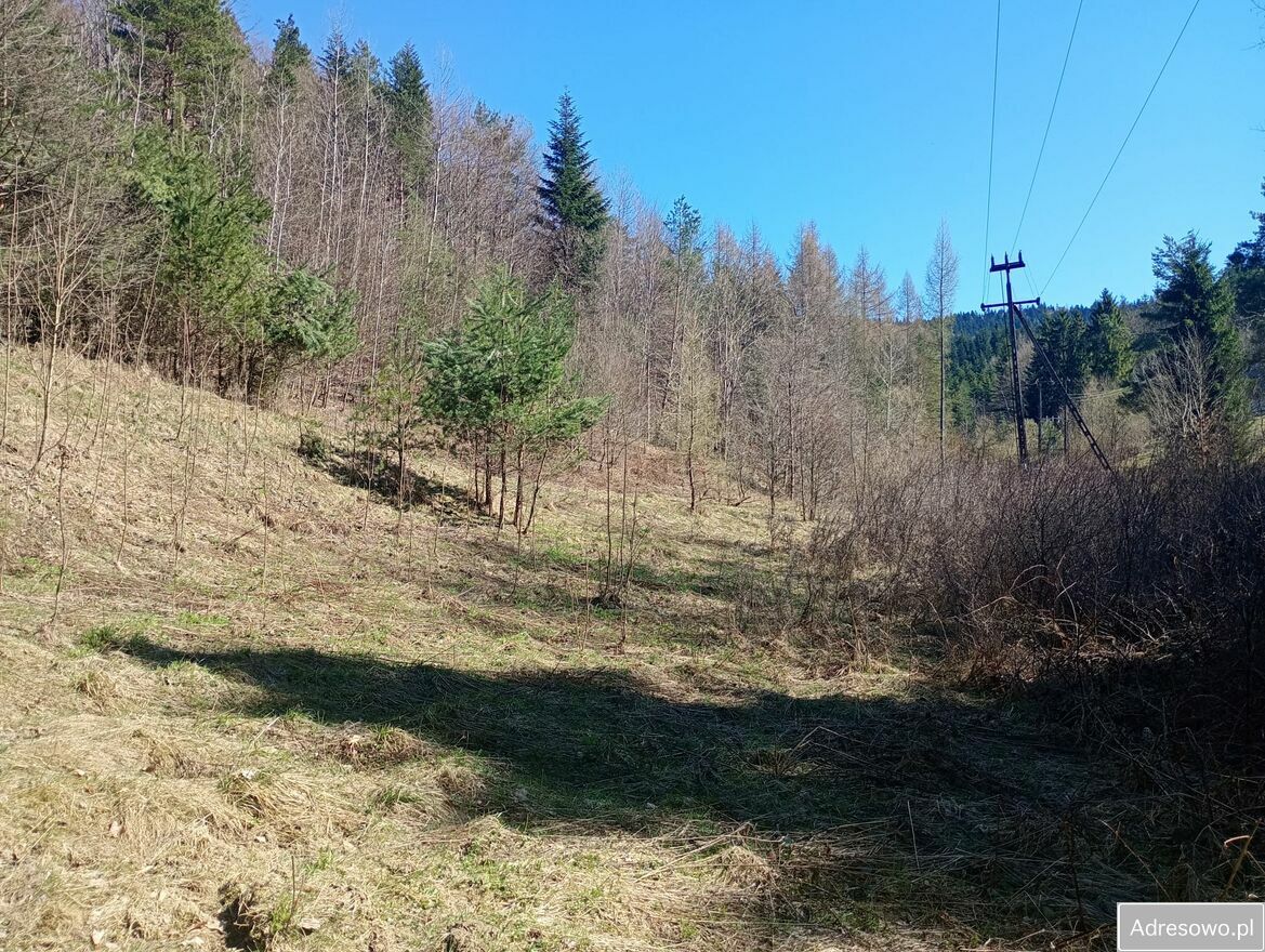 Działka budowlana Harbutowice. Zdjęcie 8