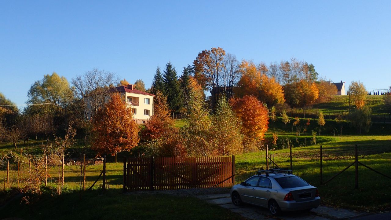 Działka rolna Szczepanowice. Zdjęcie 8