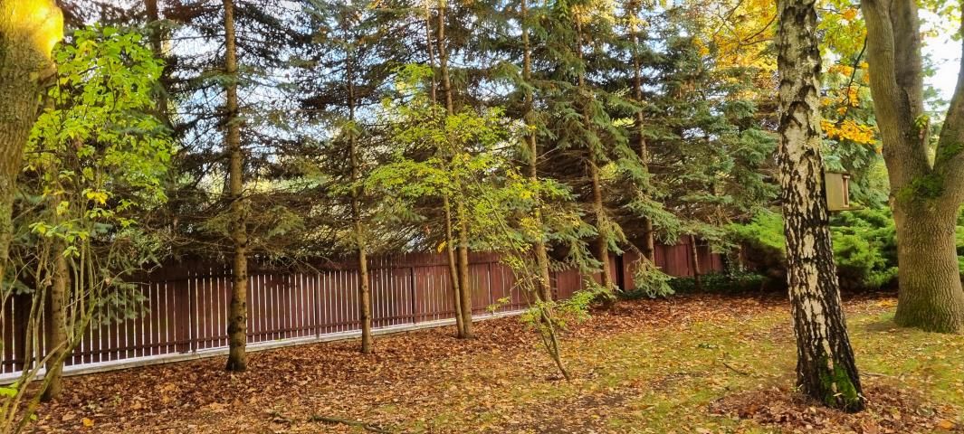 Działka budowlana Komorów. Zdjęcie 2