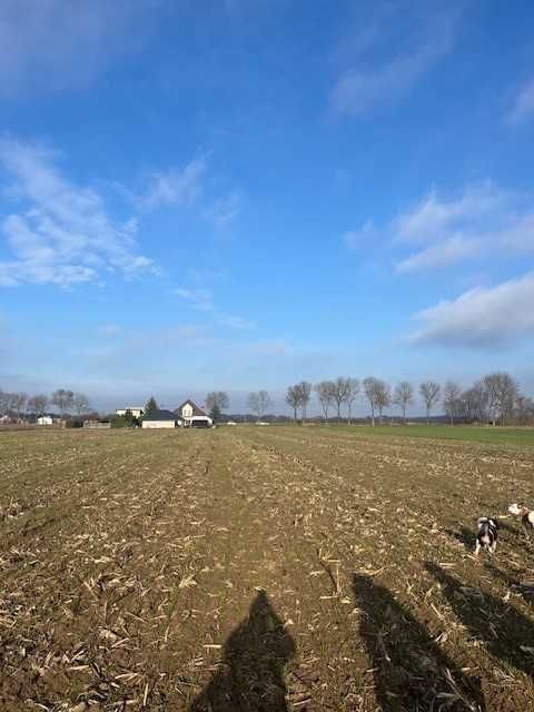 Działka rolno-budowlana Konopnica. Zdjęcie 4