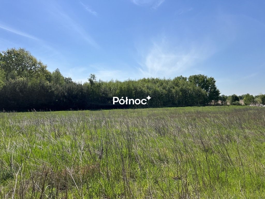 Działka rolno-budowlana Tymowa. Zdjęcie 20