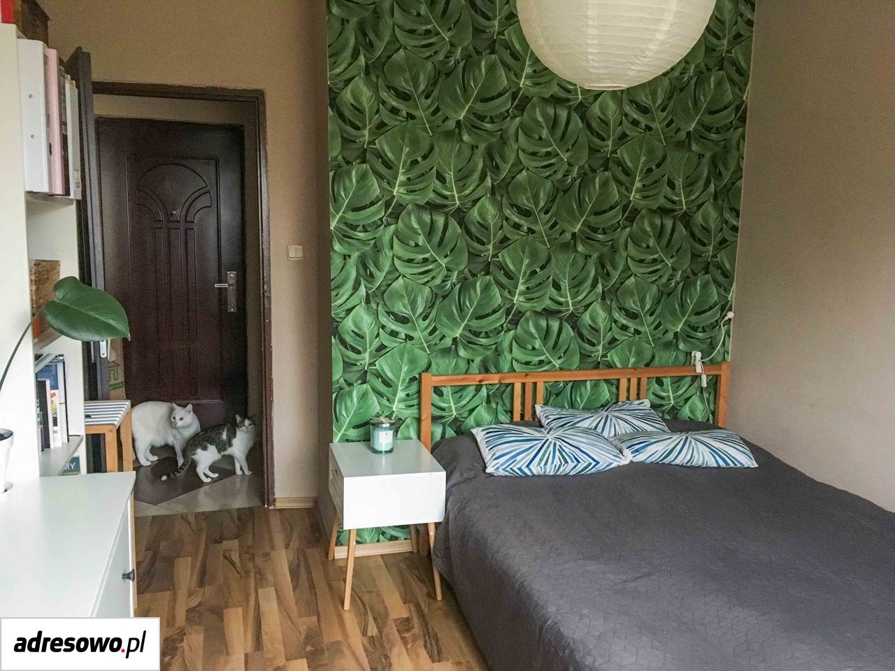 Mieszkanie 2-pokojowe Sosnowiec Zagórze, ul. Stefana Kisielewskiego. Zdjęcie 5