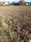 Działka budowlana Polnica. Zdjęcie 4