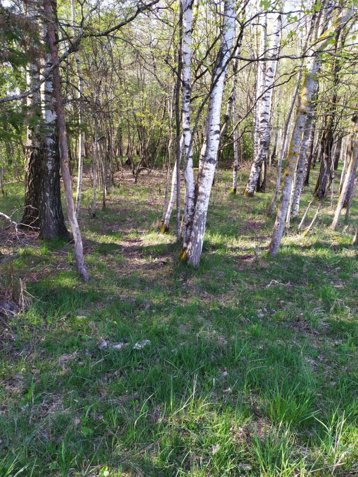 Działka rolna Użmauda. Zdjęcie 12