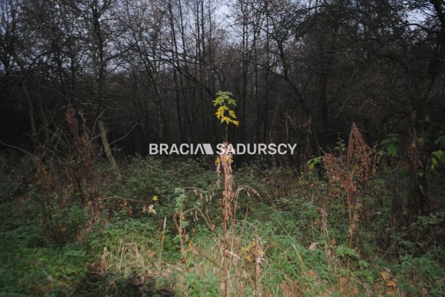 Działka rolna Libertów. Zdjęcie 9