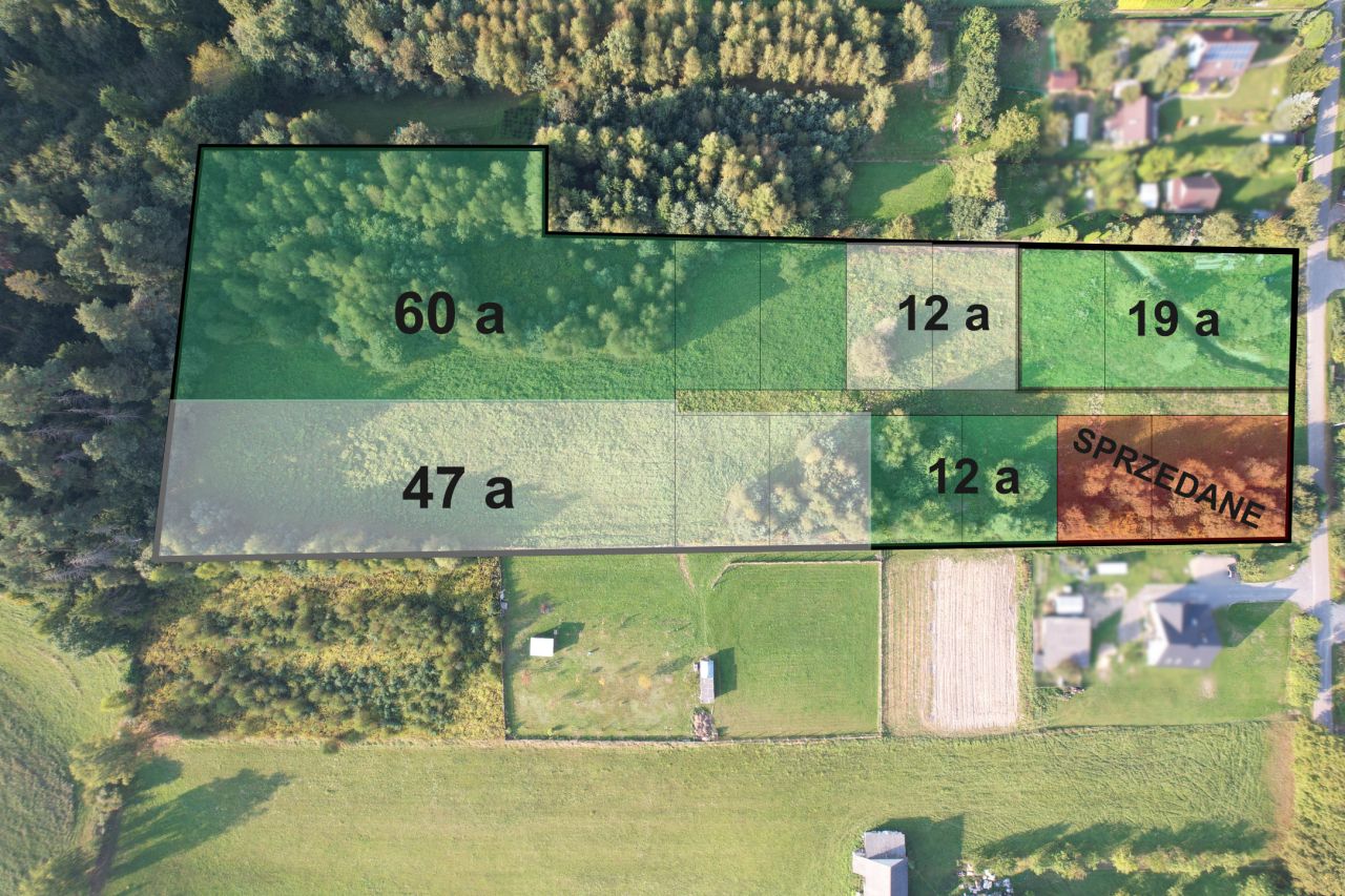 Działka rolno-budowlana Domaniewice. Zdjęcie 7