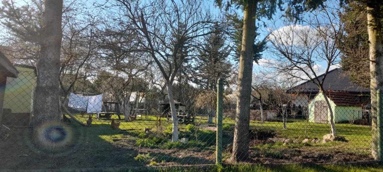 gospodarstwo, 7 pokoi Czerna. Zdjęcie 11