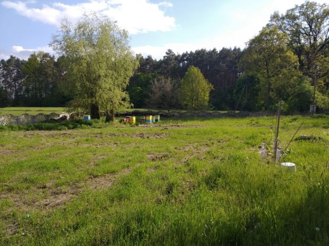Działka budowlana Chełmno. Zdjęcie 2