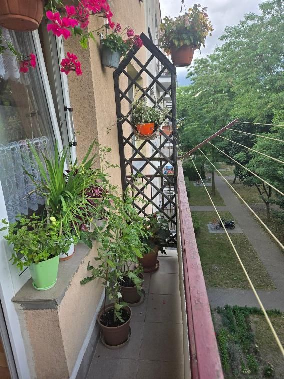 Mieszkanie 1-pokojowe Stargard Lotnisko. Zdjęcie 2