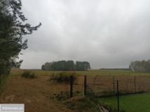 Działka budowlana Borzechów-Kolonia. Zdjęcie 2