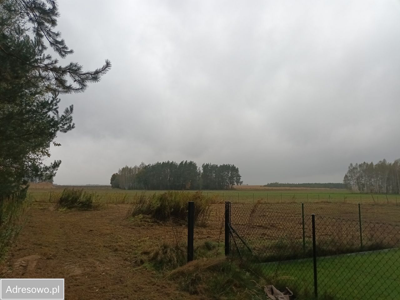 Działka budowlana Borzechów-Kolonia. Zdjęcie 3