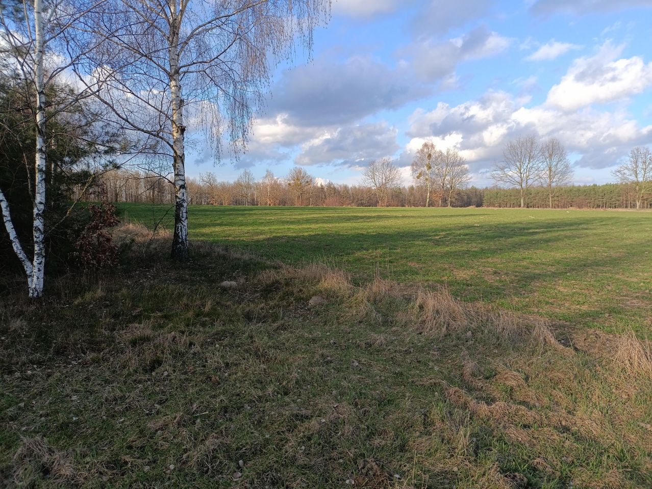 Działka rekreacyjna Lubowidz, ul. Leśna. Zdjęcie 6