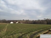 Działka rolna Sławkowice. Zdjęcie 1