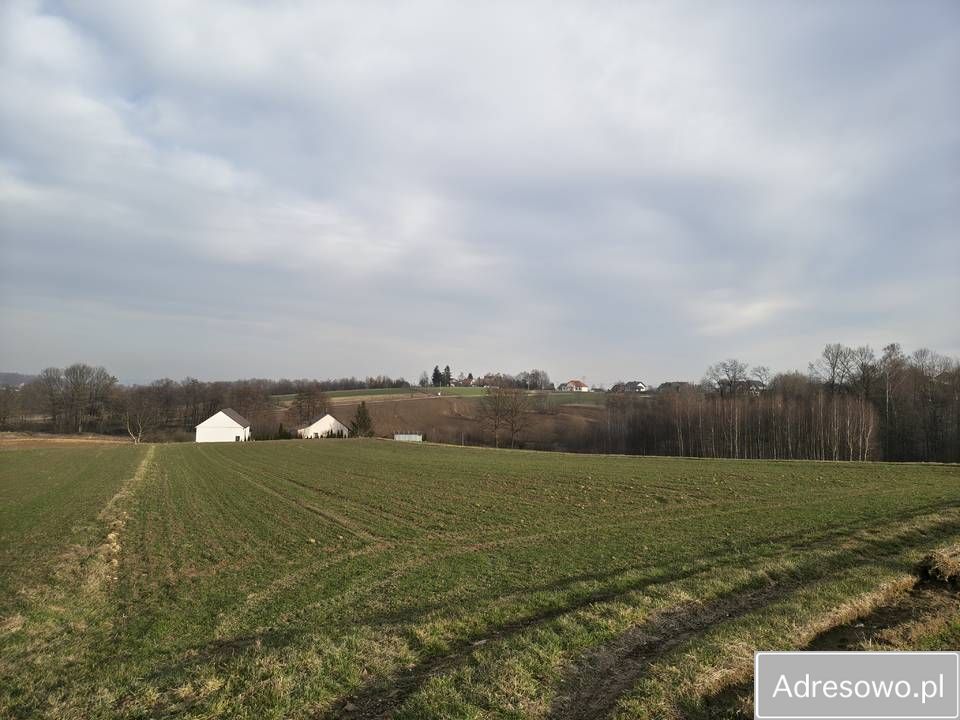 Działka rolna Sławkowice. Zdjęcie 2