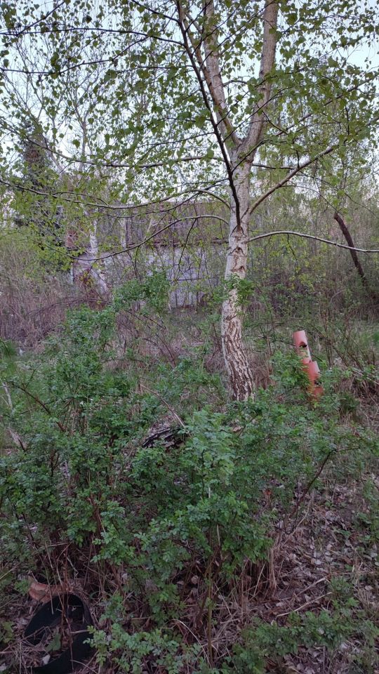 Działka rod Radom, ul. Wincentego Witosa. Zdjęcie 8