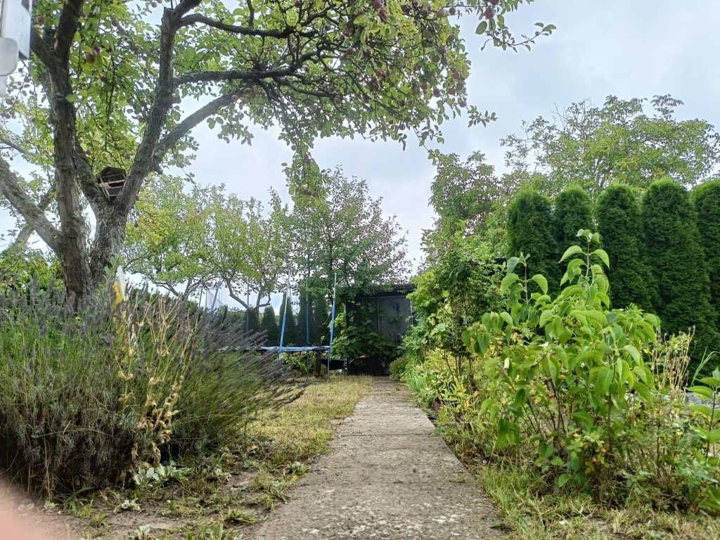 Działka rod Poznań Głuszyna, ul. Głuszyna. Zdjęcie 6