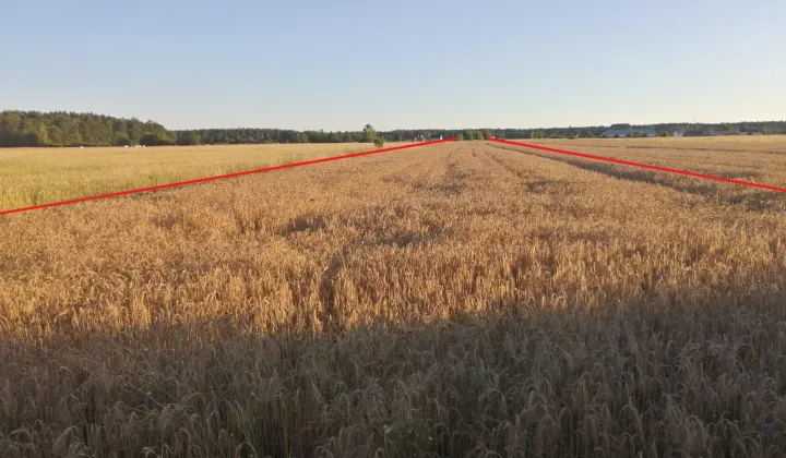 Działka budowlana Krubki-Górki