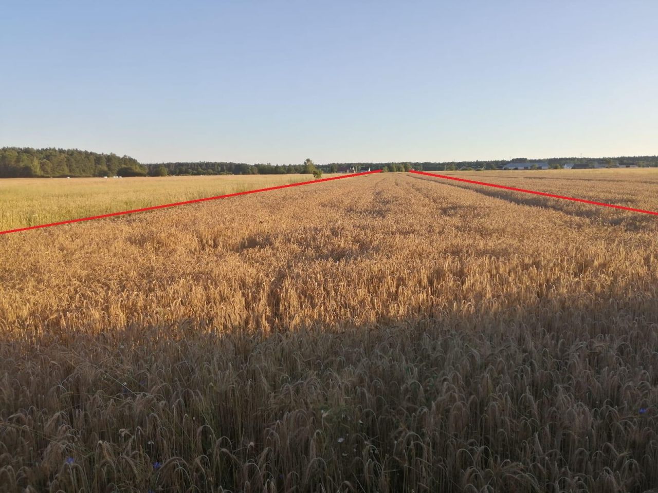 Działka budowlana Krubki-Górki. Zdjęcie 1