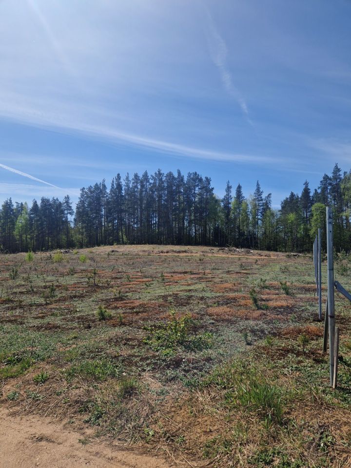 Działka rolno-budowlana Szczebra. Zdjęcie 4
